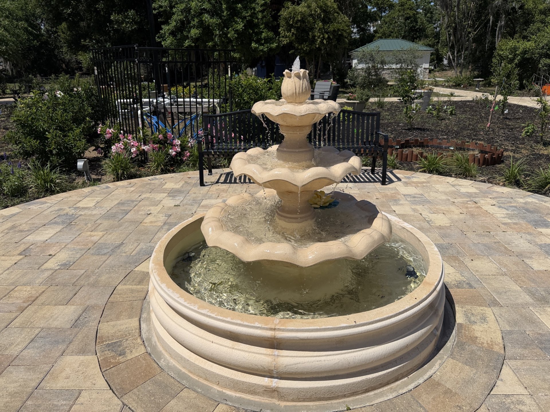 Butterfly Garden