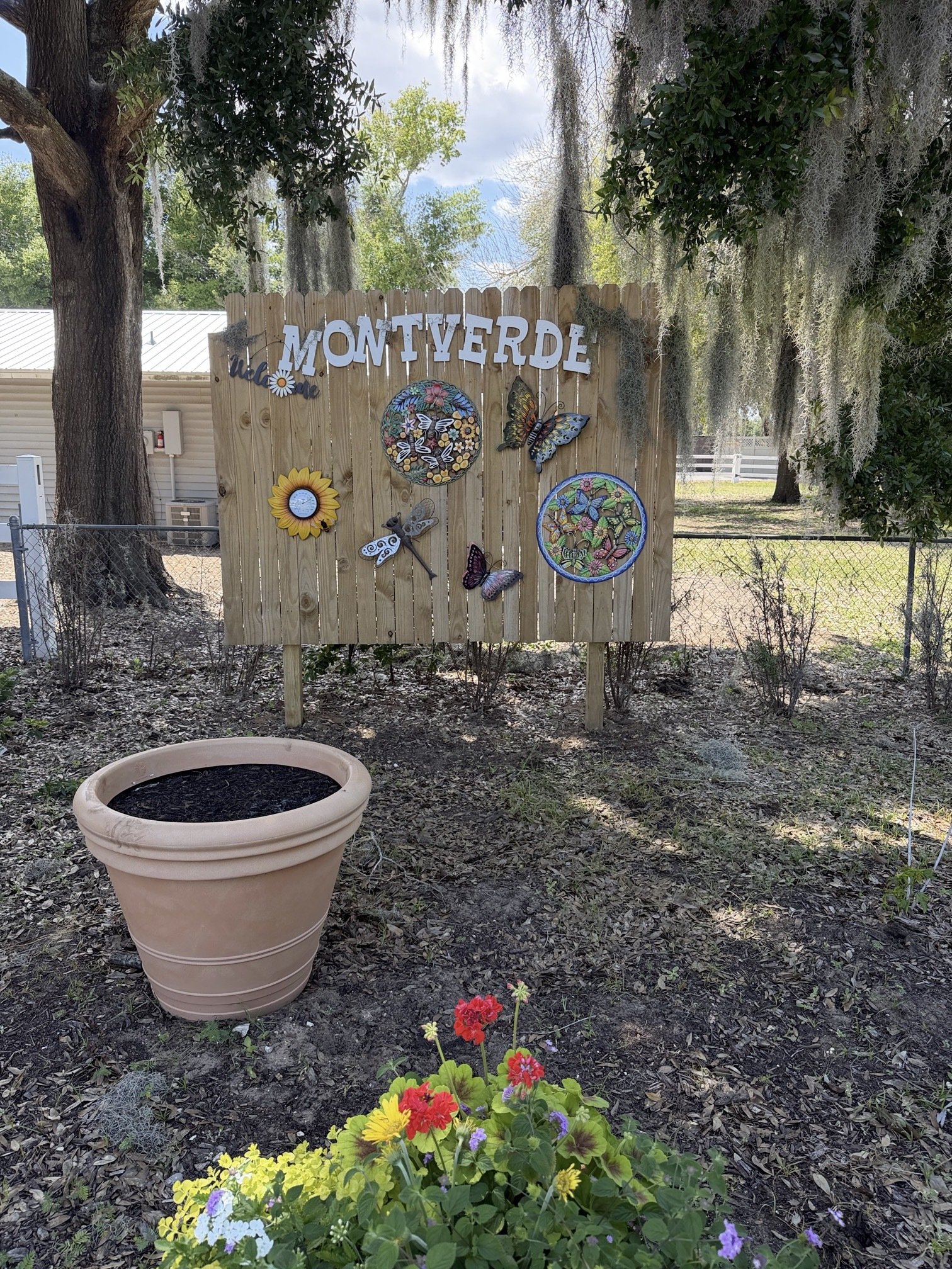Butterfly Garden