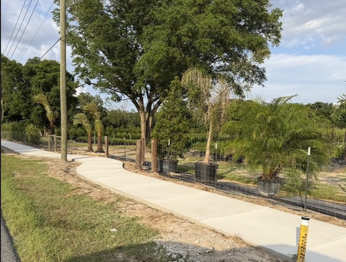 Sidewalk Slalom 002
