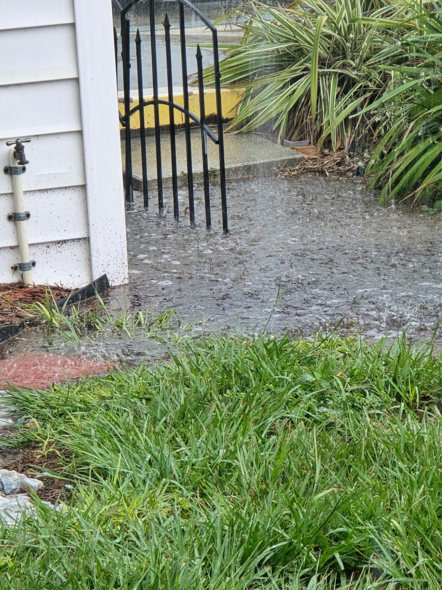 Resident's House by park after a rainstorm.